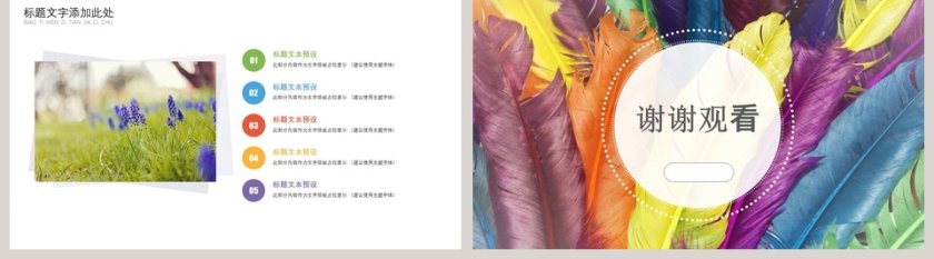 多彩羽毛教育培训通用ppt第5张