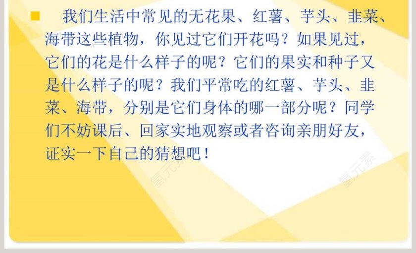 湘 教 版 小 学 四 年 级 科 学 上 册-植物的身体教学ppt课件第7张