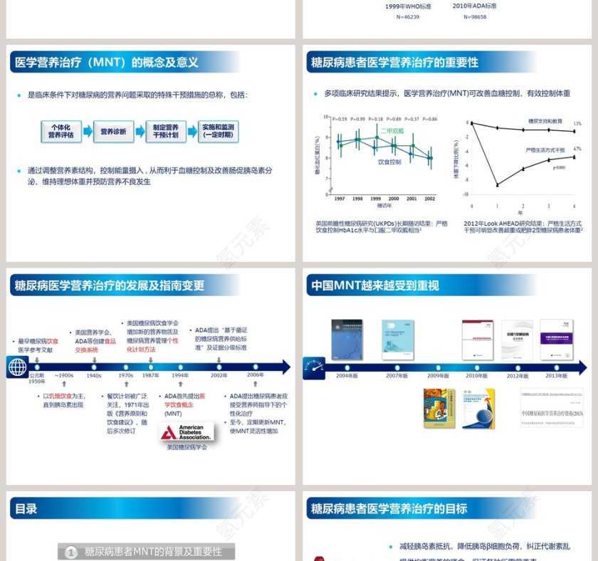 简约大气糖尿病医学营养治疗ppt模板第2张