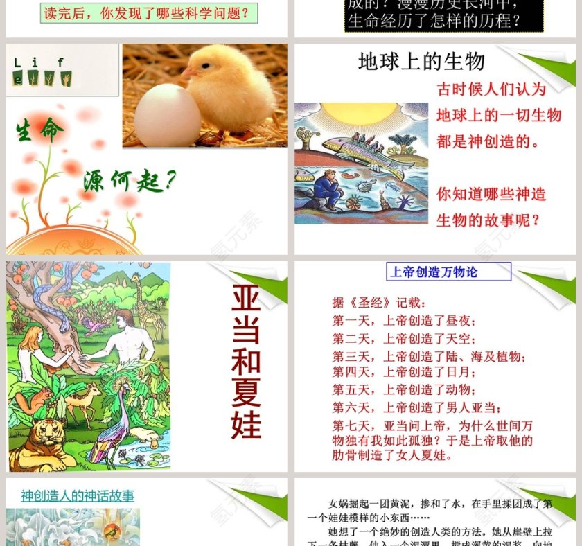 生命的历程PPT模板：展示人生旅程的精彩瞬间第2张