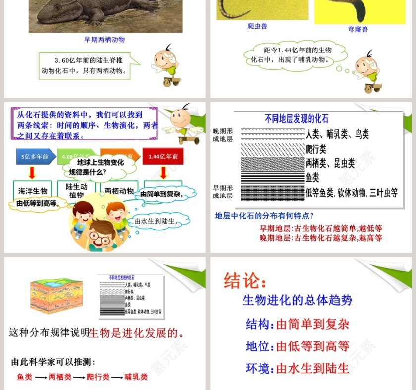 生命的历程PPT模板：展示人生旅程的精彩瞬间第5张