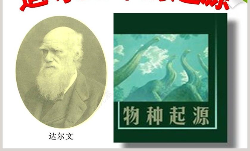 生命的历程PPT模板：展示人生旅程的精彩瞬间第7张