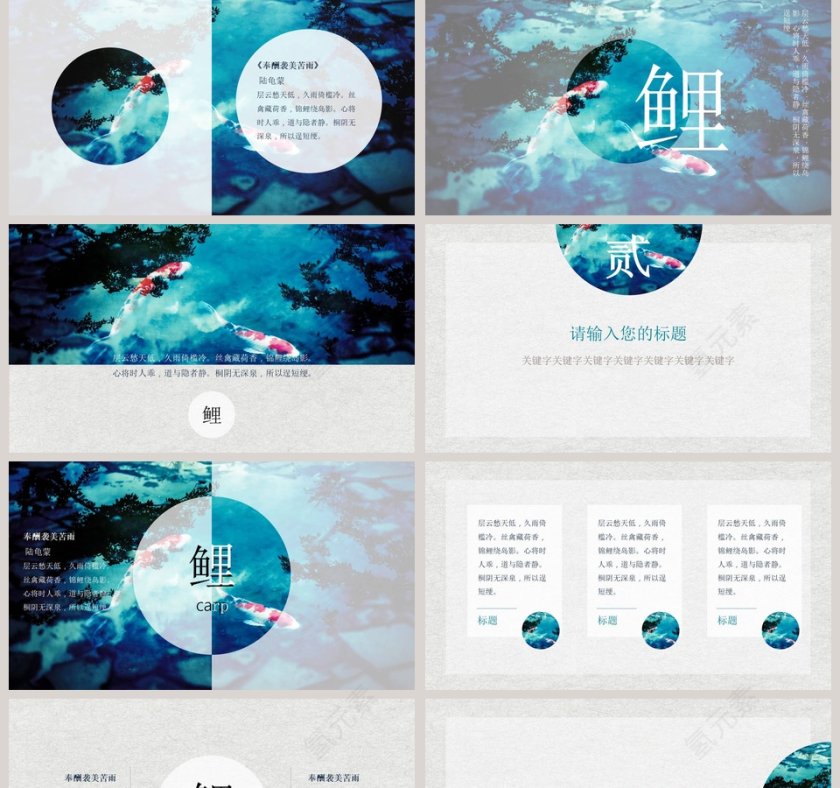 寻找锦鲤PPT第2张