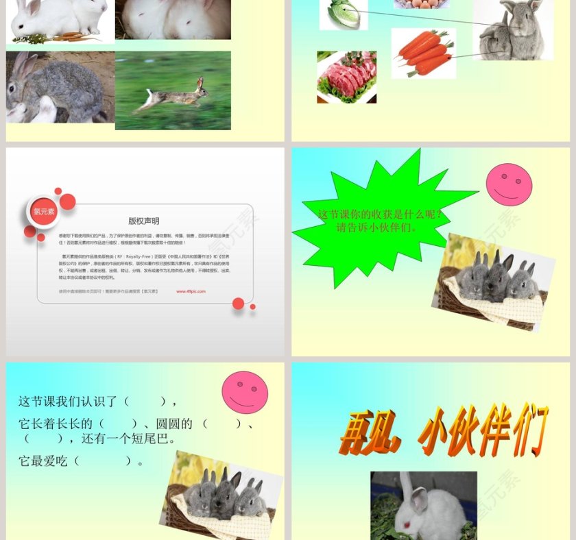 第二单元兔子PPT模板第3张
