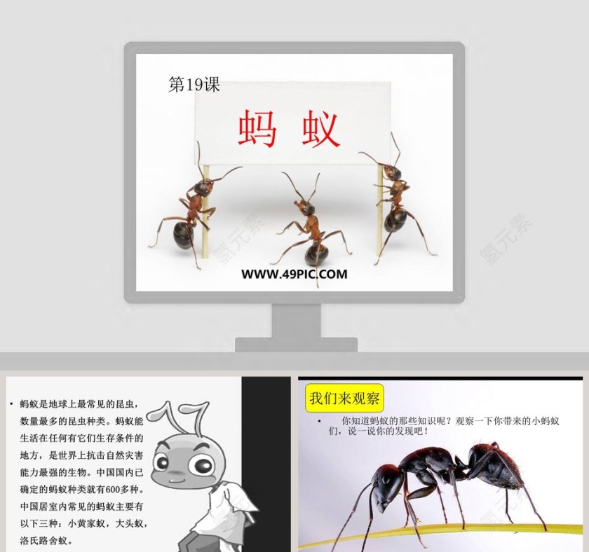 第19课：PPT模板设计与竞聘行业应用第1张