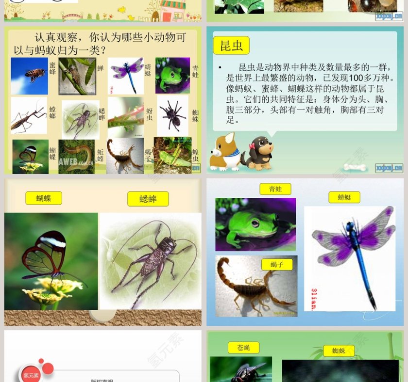 第19课：PPT模板设计与竞聘行业应用第4张