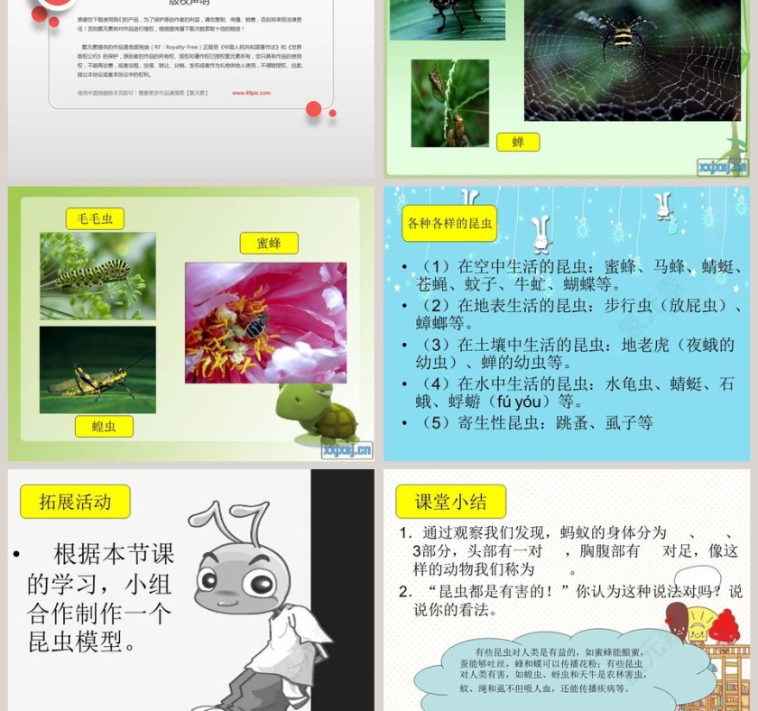 第19课：PPT模板设计与竞聘行业应用第5张