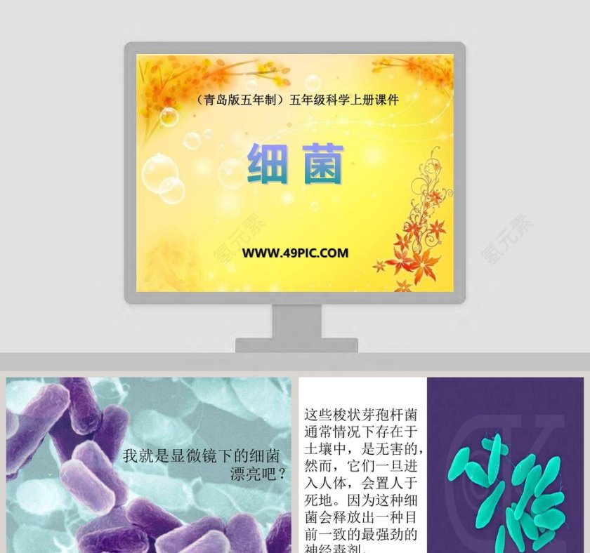 细 菌-青岛版五年制五年级科学上册课件教学ppt课件第1张