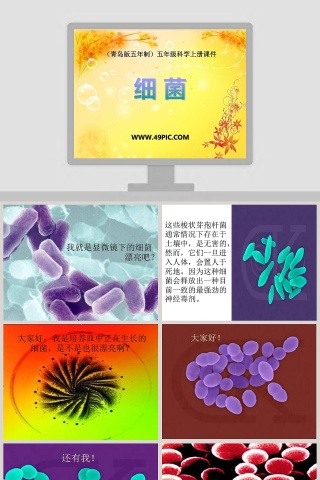 细 菌-青岛版五年制五年级科学上册课件教学ppt课件