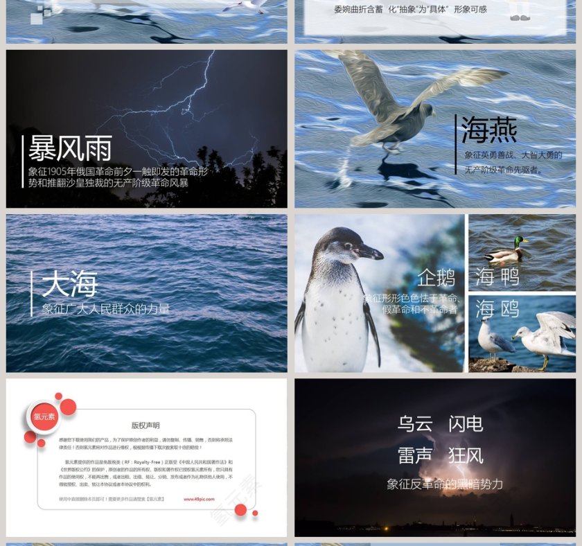 八年级语文课件《海燕》PPT第4张