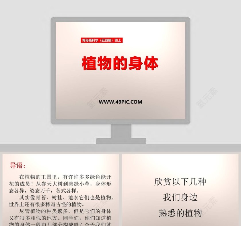 植物的身体-青岛版科学五四制四上教学ppt课件第1张
