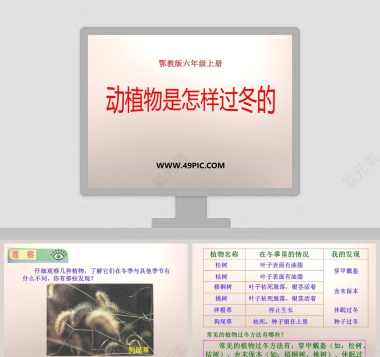 鄂教版六年级上册-动植物是怎样过冬的教学ppt课件第1张