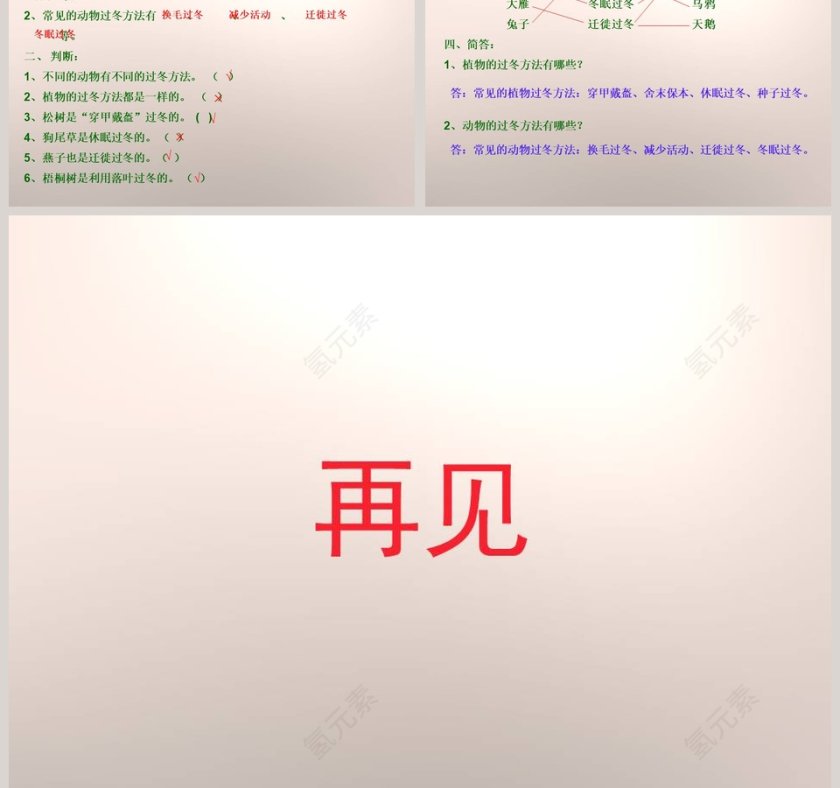鄂教版六年级上册-动植物是怎样过冬的教学ppt课件第3张