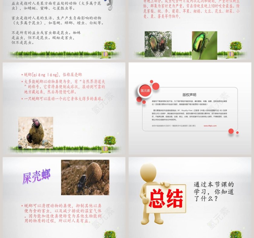 更多的小动物教学ppt课件第5张