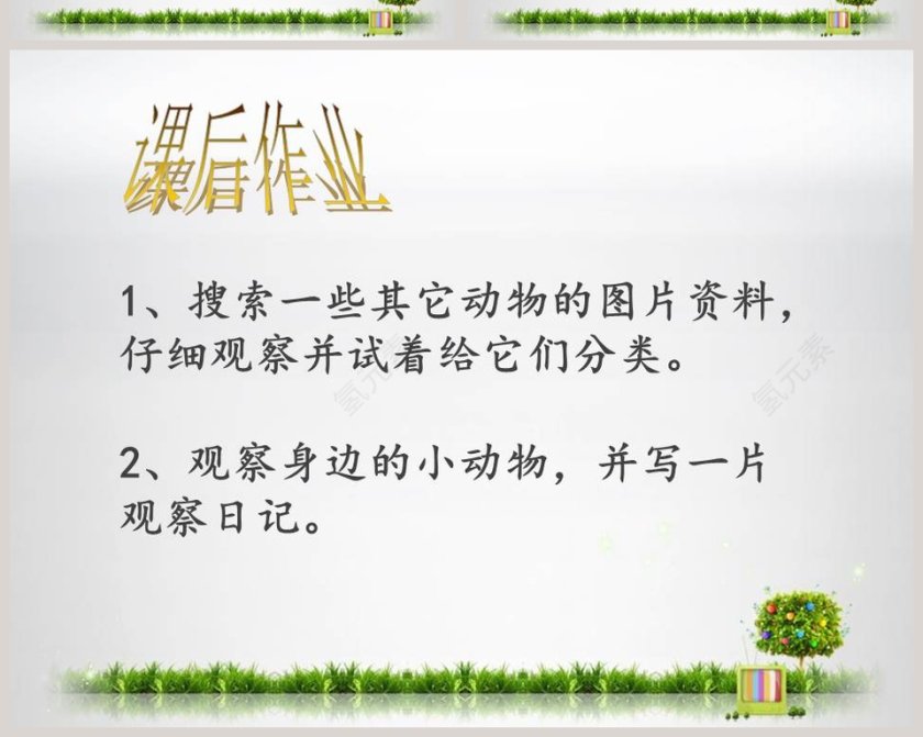 更多的小动物教学ppt课件第6张