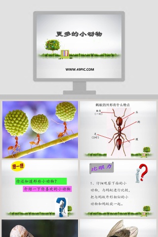 更多的小动物教学ppt课件