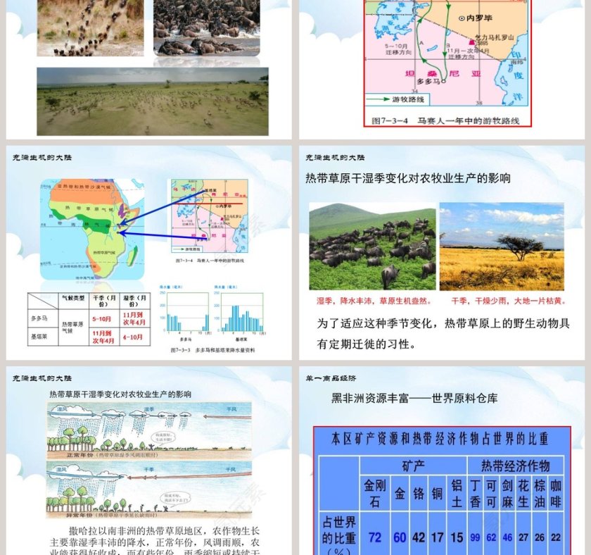 第三节  撒哈拉以南的非洲教学ppt课件第5张