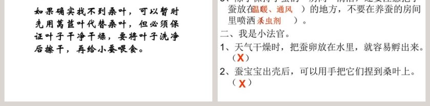 湘教版三年级科学下册课件-蚕宝宝出生了教学ppt课件第5张