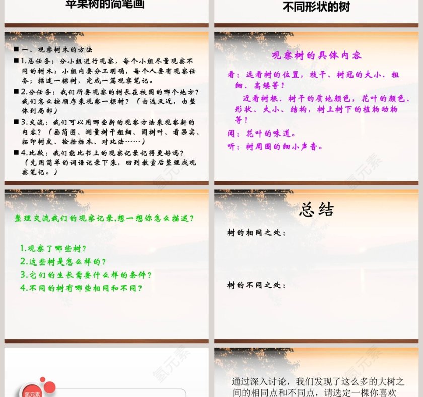 鄂教版四年级科学上册课件-观察一棵树教学ppt课件第2张