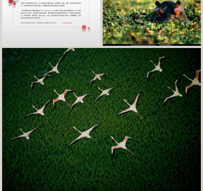 方向和位置教学ppt课件第7张