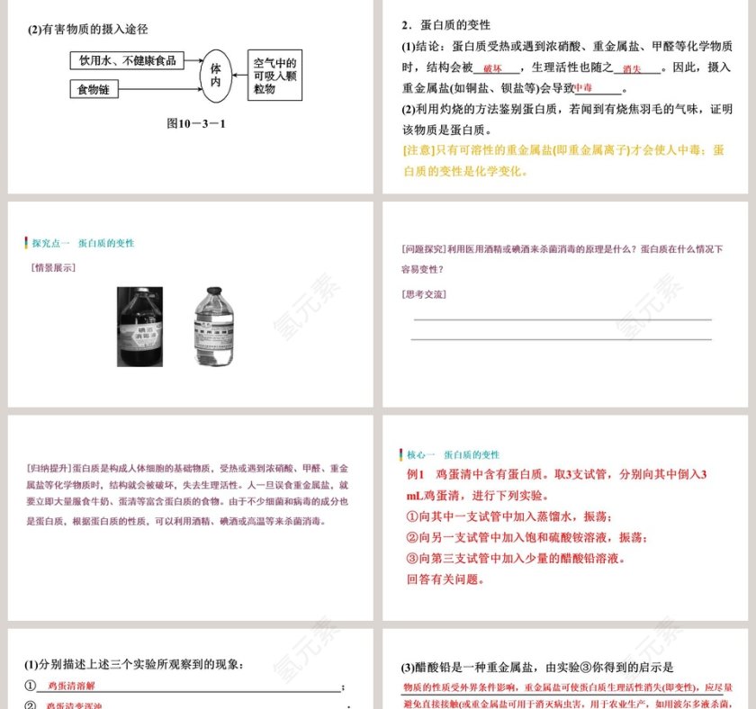 远离有毒物质教学ppt课件第2张