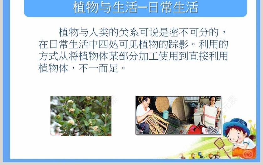 植物与我们的生活-PPT模板第3张