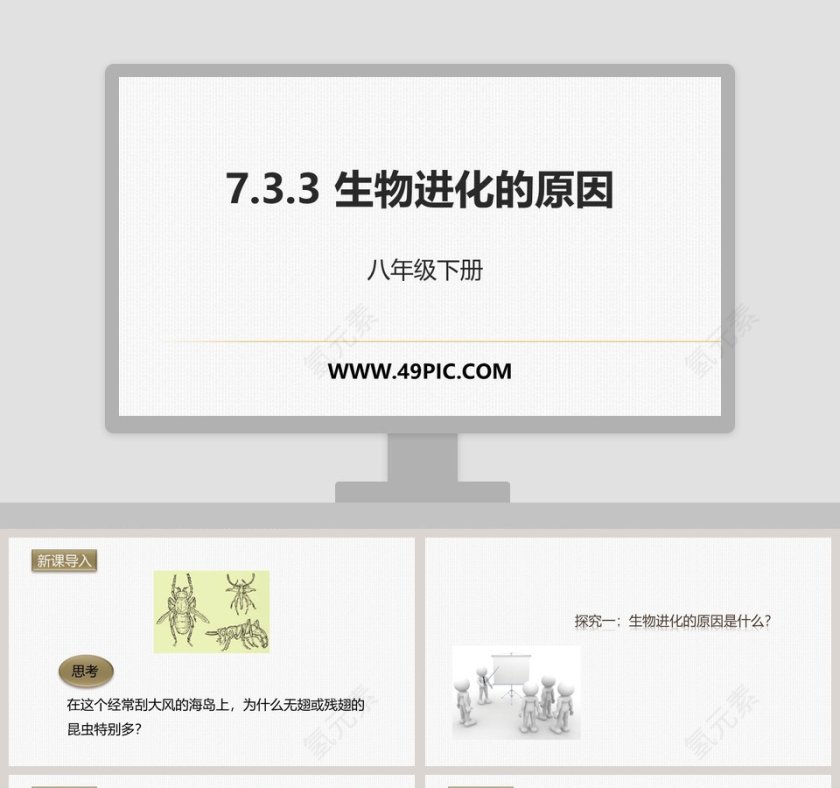 -生物进化的原因教学ppt课件第1张