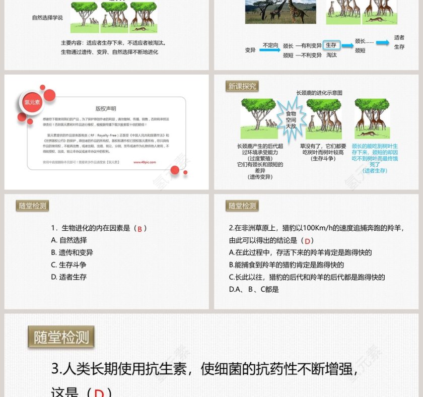 -生物进化的原因教学ppt课件第3张