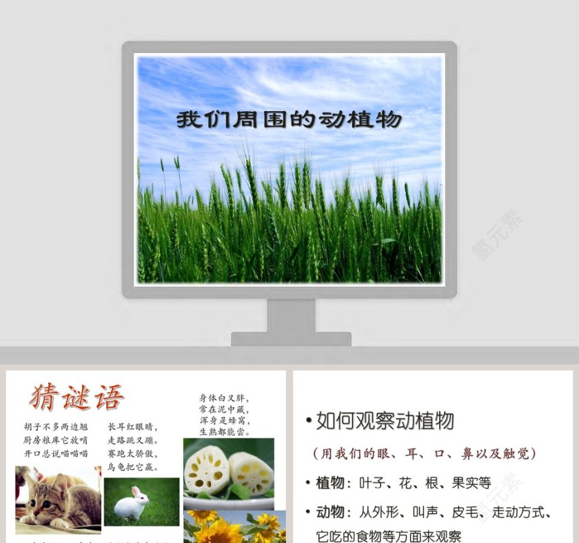 我们周围的动植物PPT模板第1张