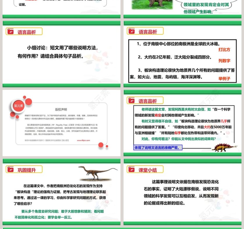 部编版八年级语文下册恐龙无处不在语文课件PPT第4张