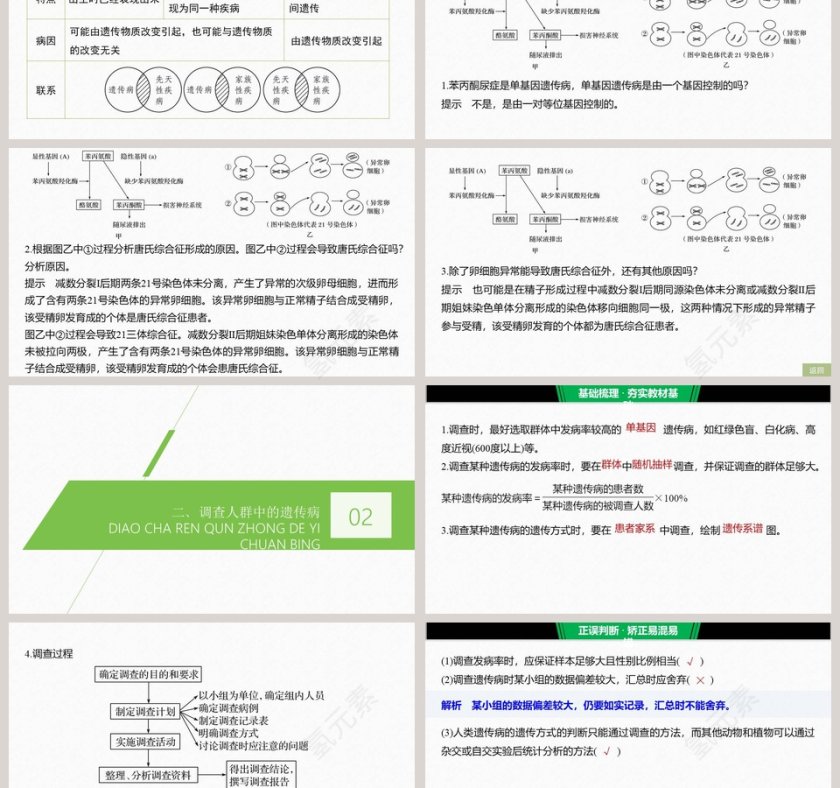第-章基因突变及其他变异教学ppt课件第3张