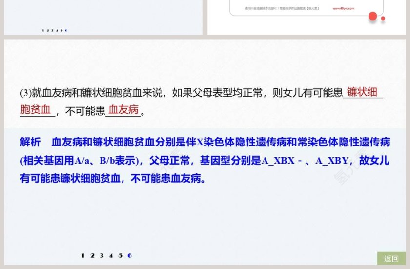 第-章基因突变及其他变异教学ppt课件第7张