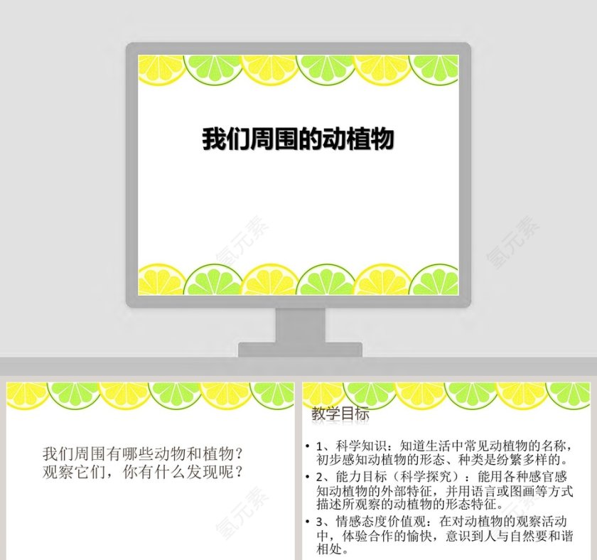 我们周围的动植物教学ppt课件第1张