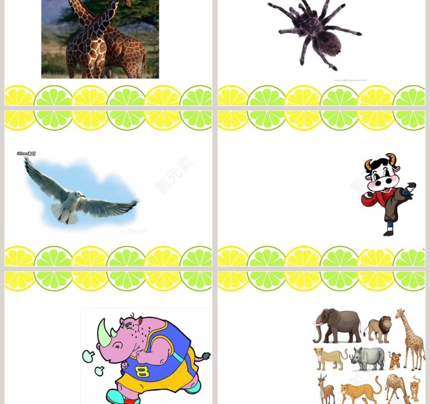 我们周围的动植物教学ppt课件第3张