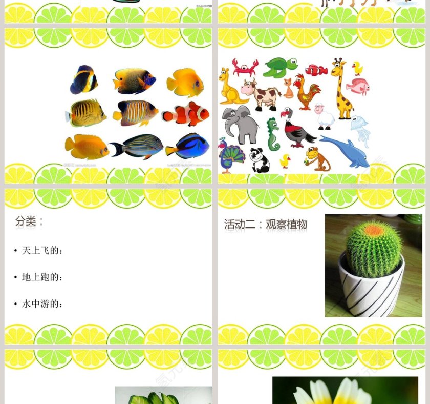 我们周围的动植物教学ppt课件第4张