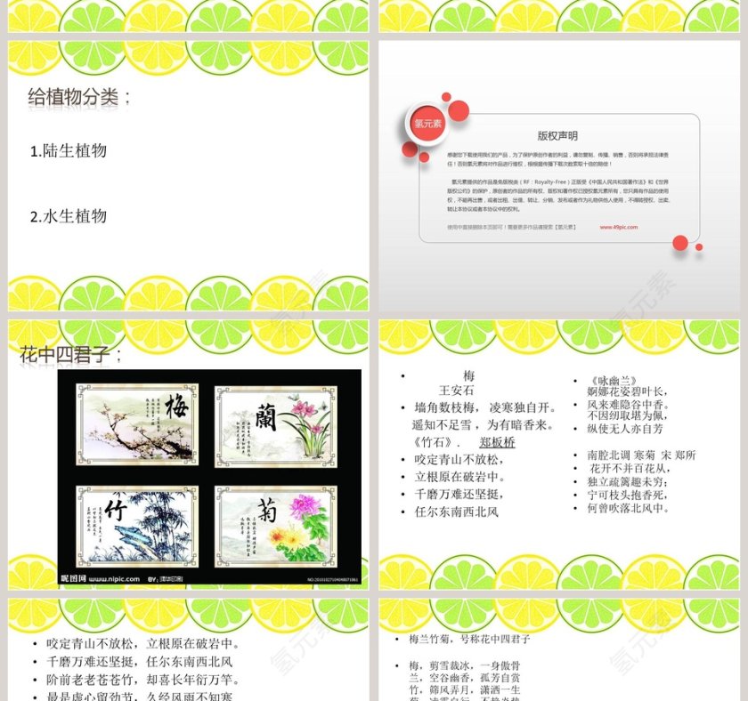 我们周围的动植物教学ppt课件第6张