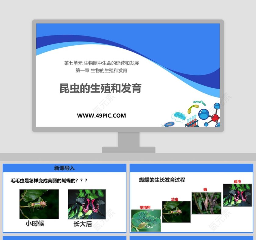 昆虫的生殖和发育-第七单元 生物圈中生命的延续和发展教学ppt课件第1张