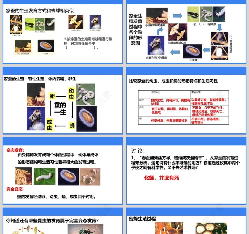 昆虫的生殖和发育-第七单元 生物圈中生命的延续和发展教学ppt课件第2张