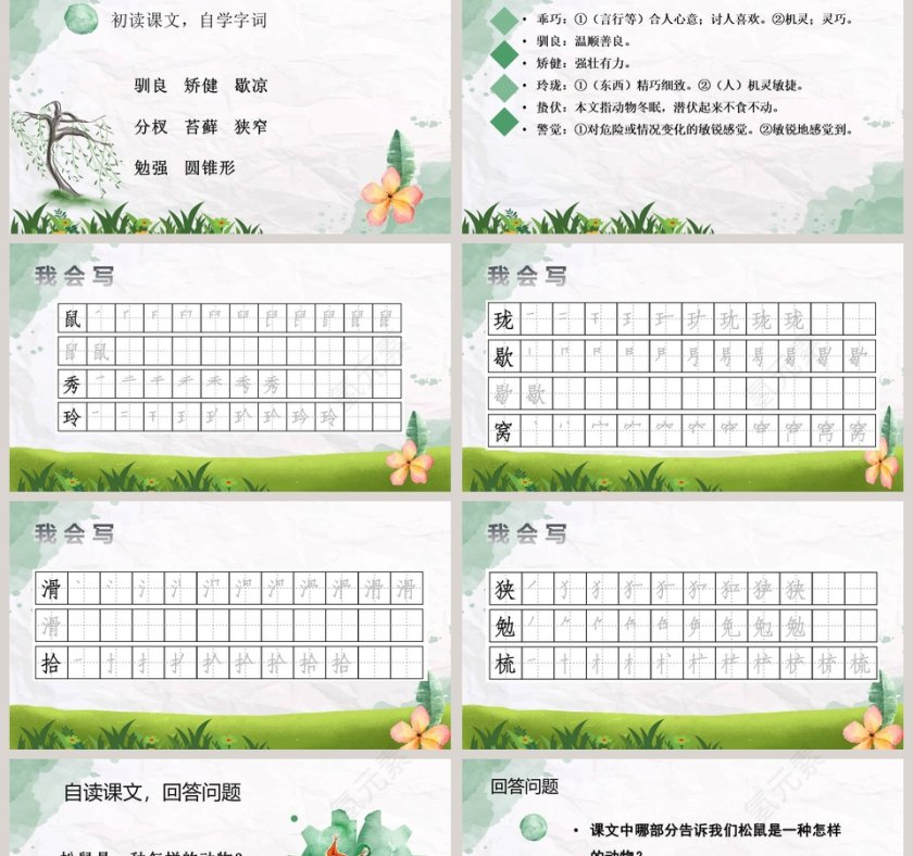 课文解析松鼠语文课件PPT第2张