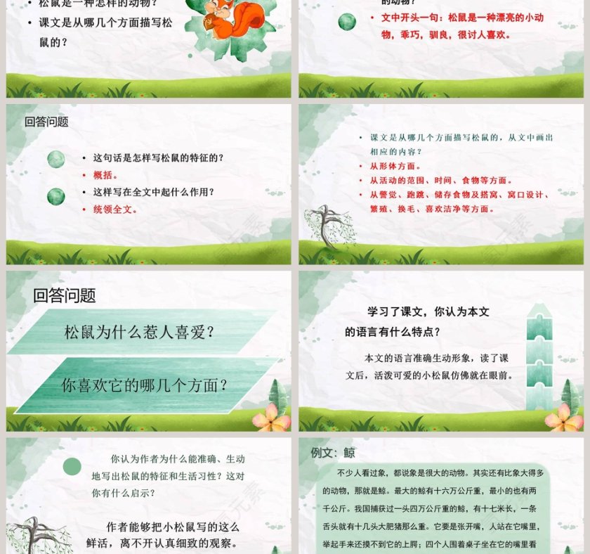 课文解析松鼠语文课件PPT第3张