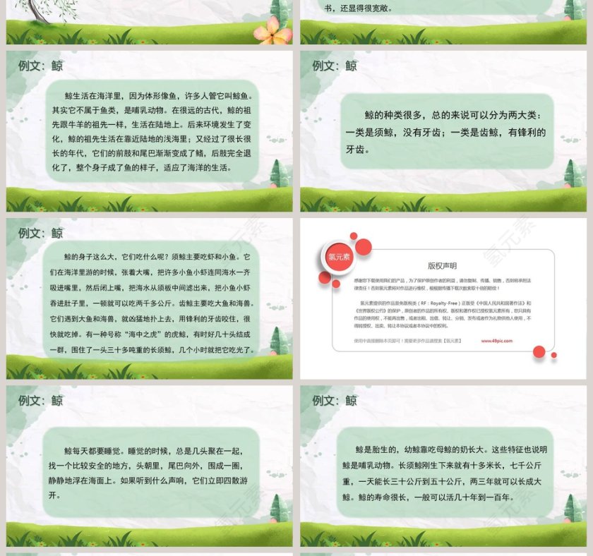 课文解析松鼠语文课件PPT第4张