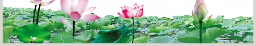 清正廉明PPT第6张