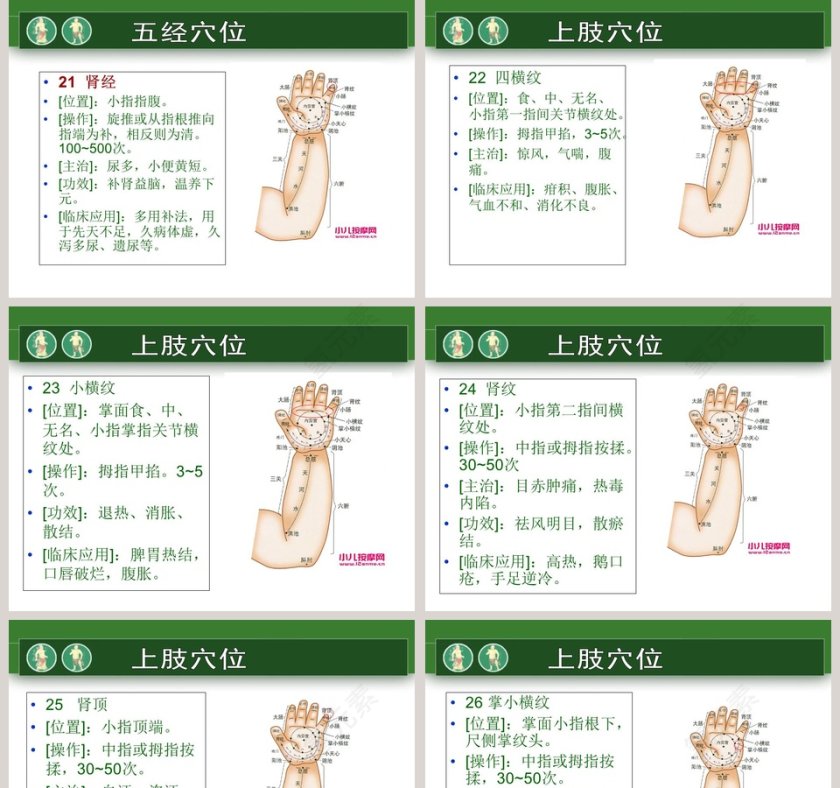 小儿推拿医护工作人员培训PPT模板第18张