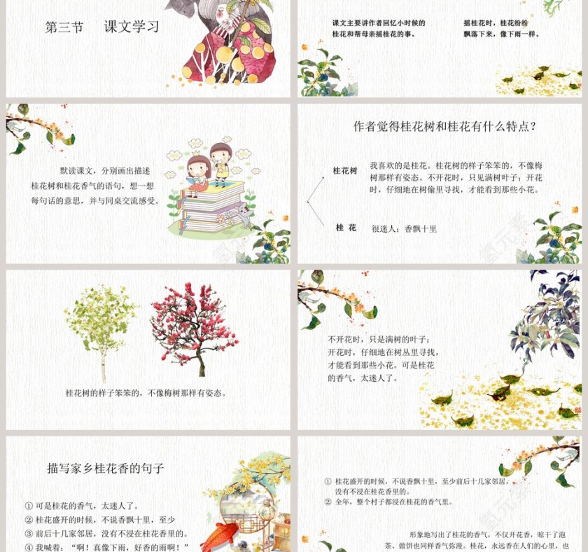 五年级语文课件PPT桂花雨第3张