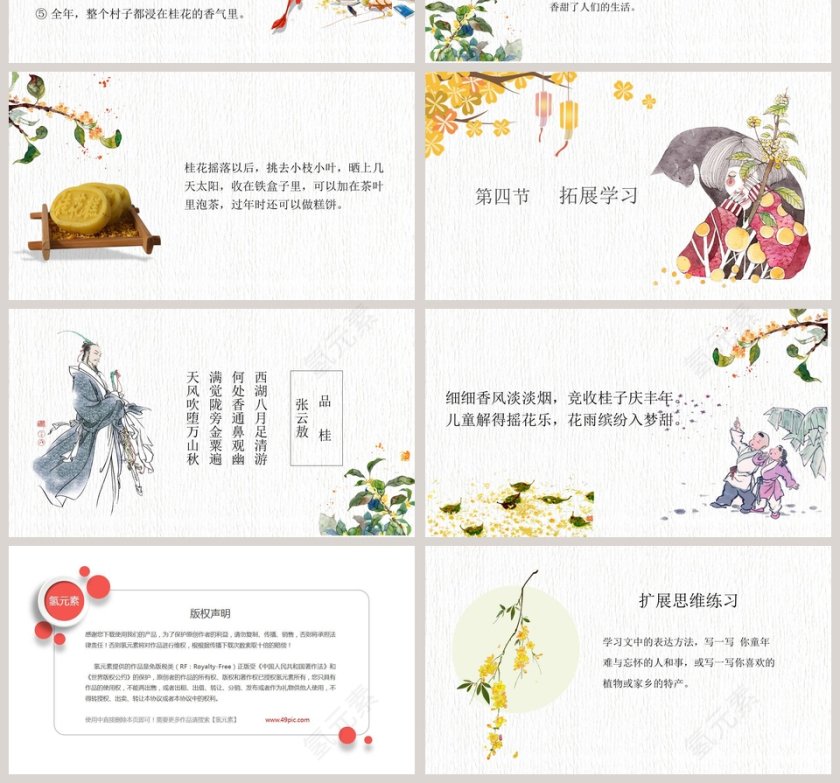 五年级语文课件PPT桂花雨第4张