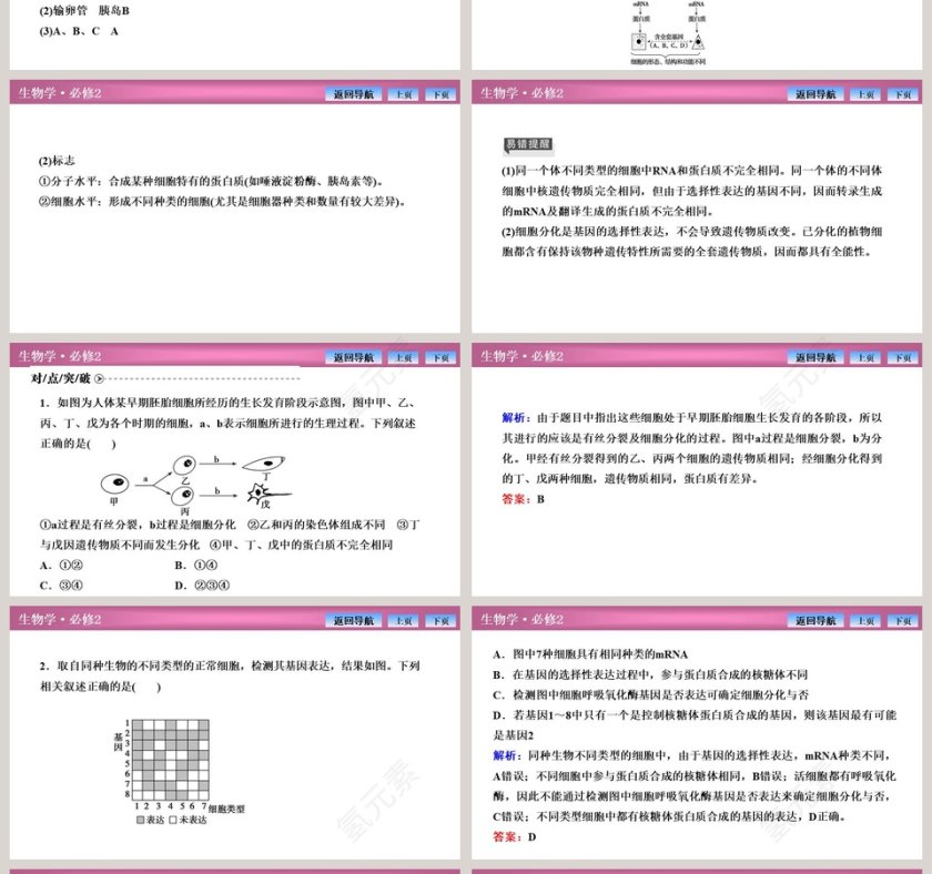 第-2教学ppt课件第4张