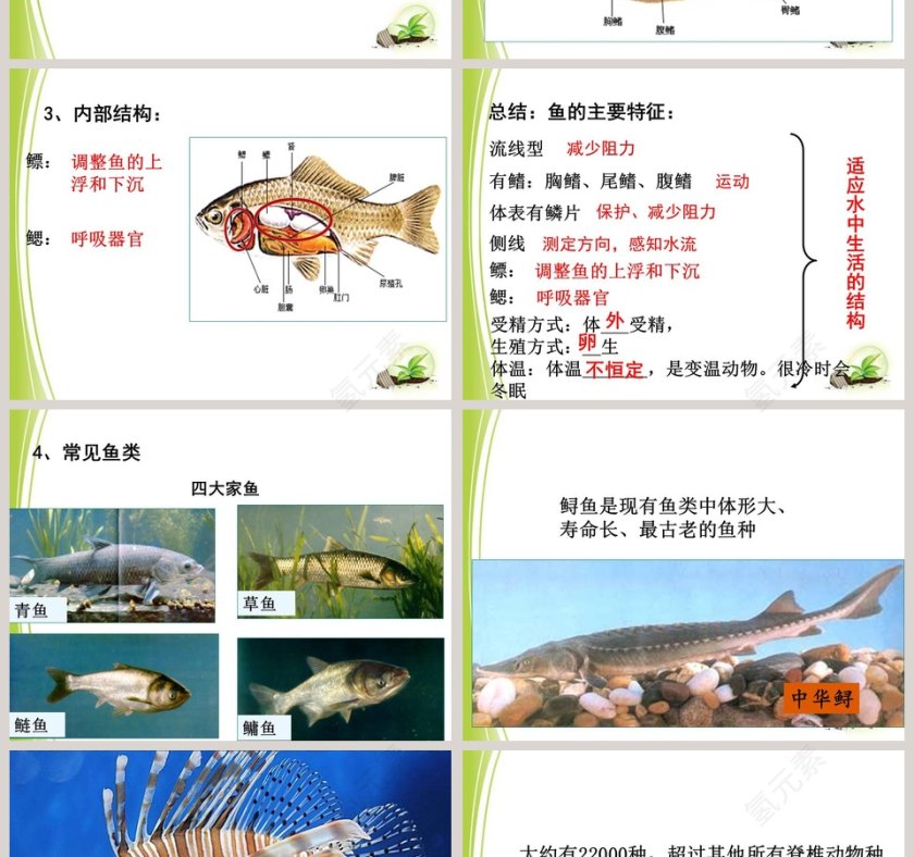 第-4教学ppt课件第2张