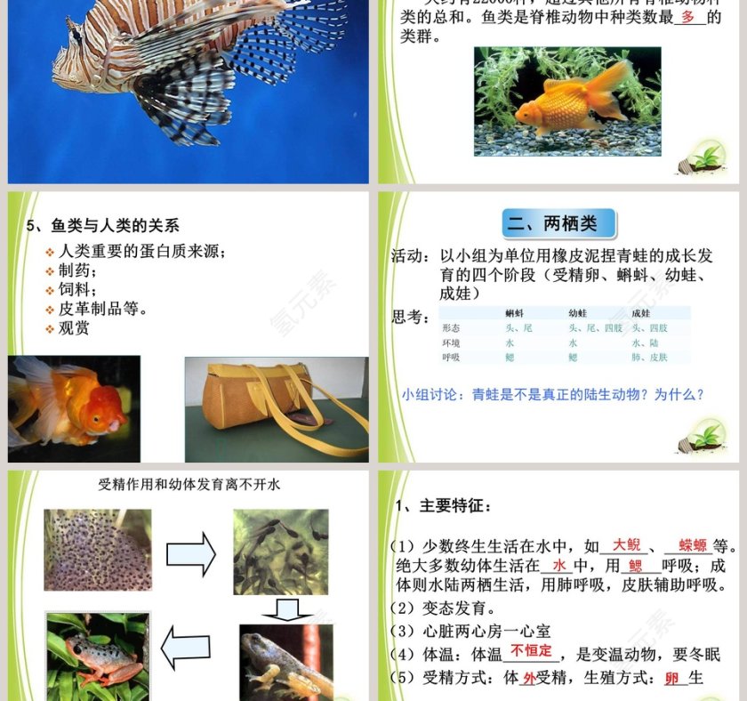 第-4教学ppt课件第3张