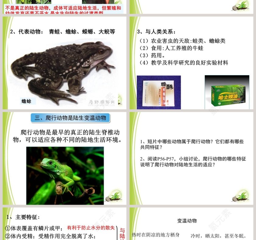 第-4教学ppt课件第4张