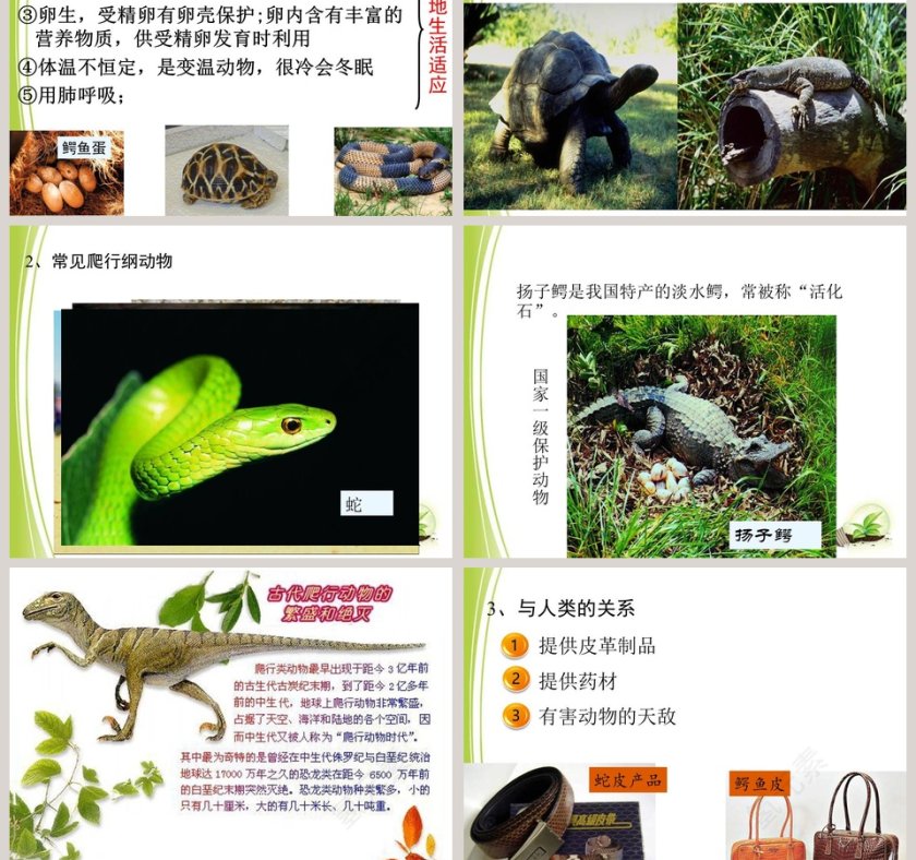 第-4教学ppt课件第5张